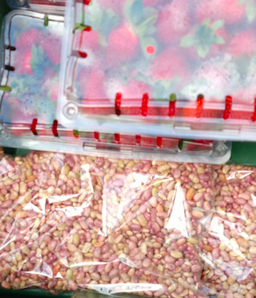 fresa deshidratada chamoy o natural