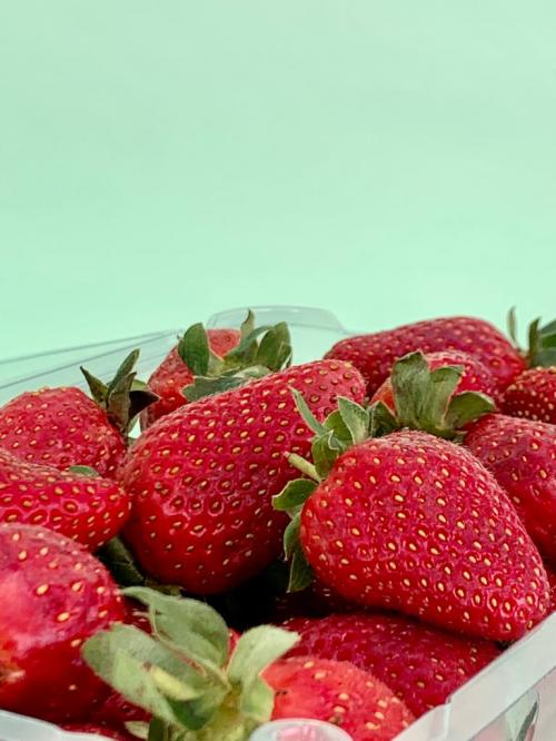 Fresa orgánica fresca, 1 Kilo.