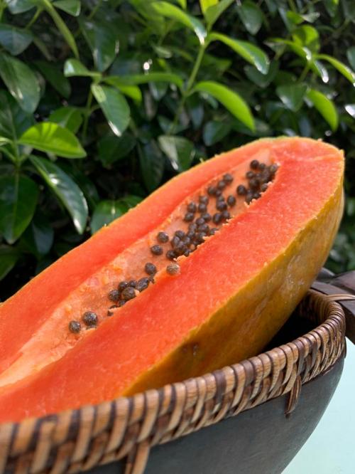 Papaya maradol, 1 pieza chica 1.6 Kilos