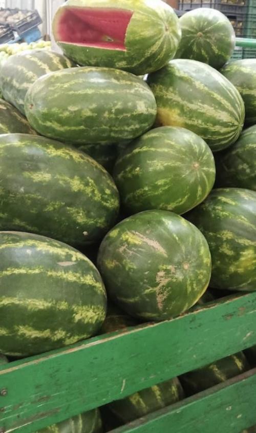 Sandía personal, 1 pieza 2 Kilos.