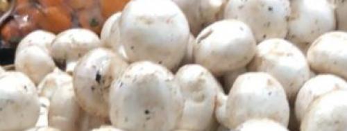Champiñones blancos, 1/2 kilo.