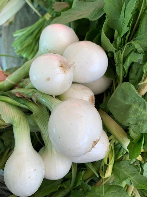 Cebolla cambray, 1/2 Kilo.