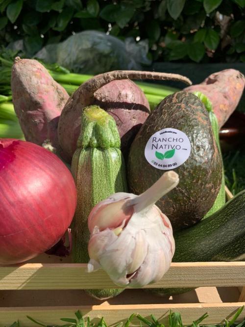 Betabel BABY color / 500 g.